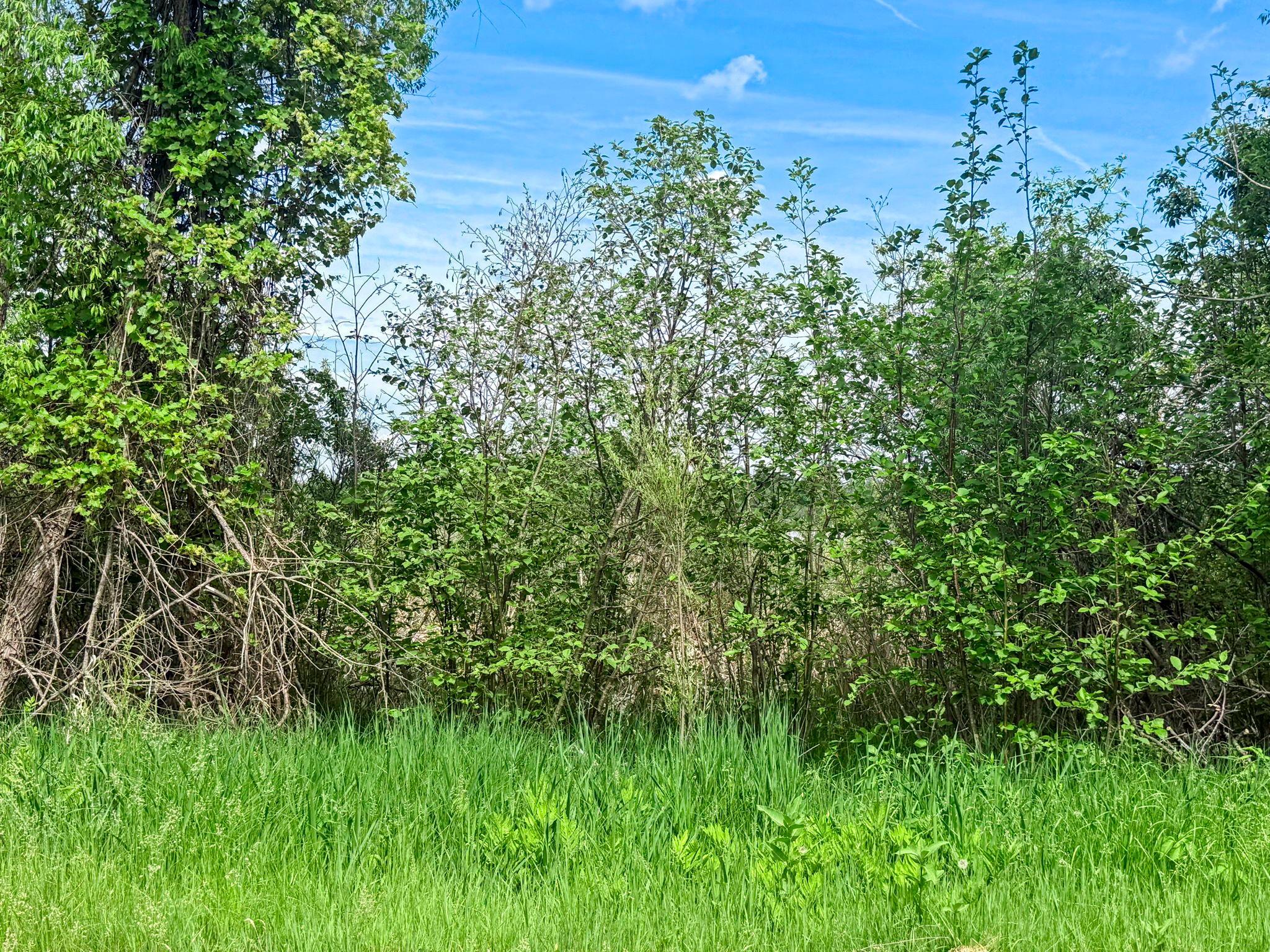 0000 Paradise Trail NW