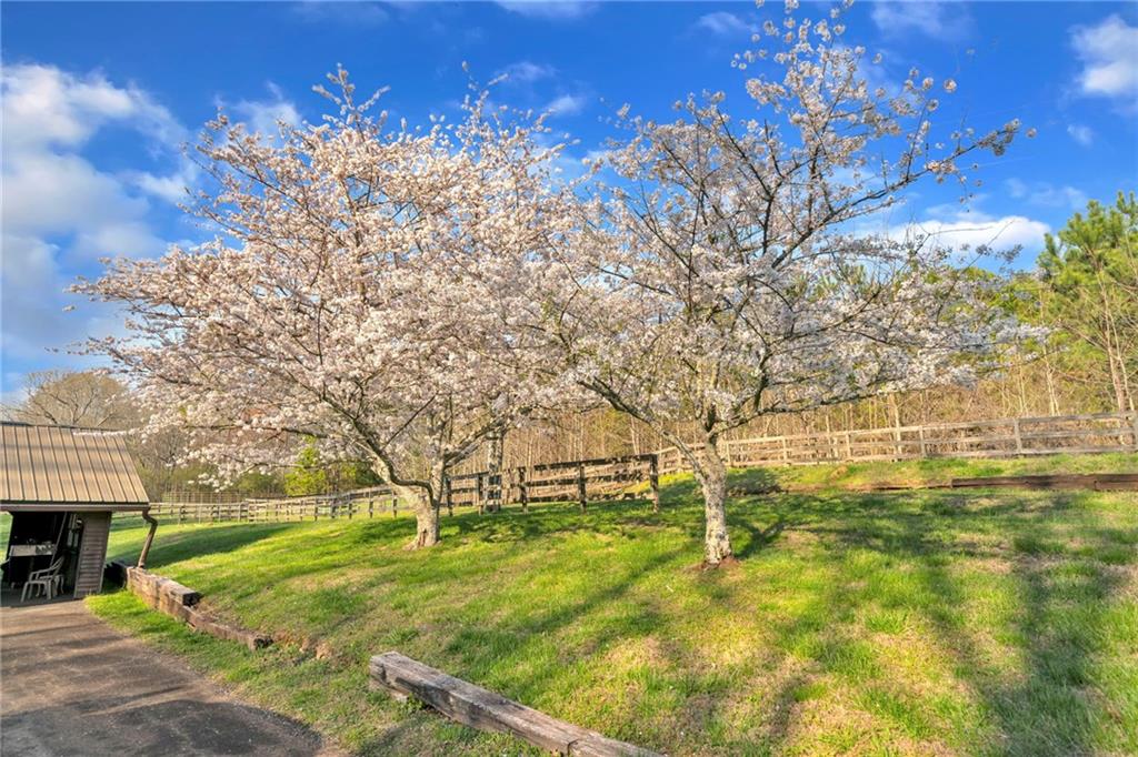 450 Pat Rich Drive
