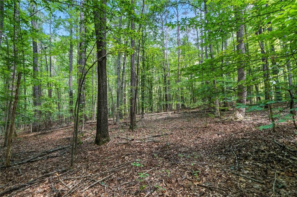 450 Pat Rich Drive