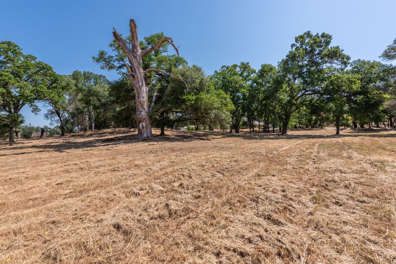 5200 E. China Hill Road