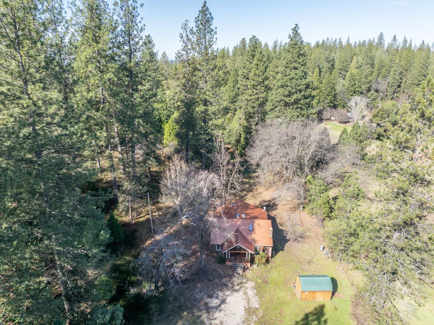 8541 State Highway 193