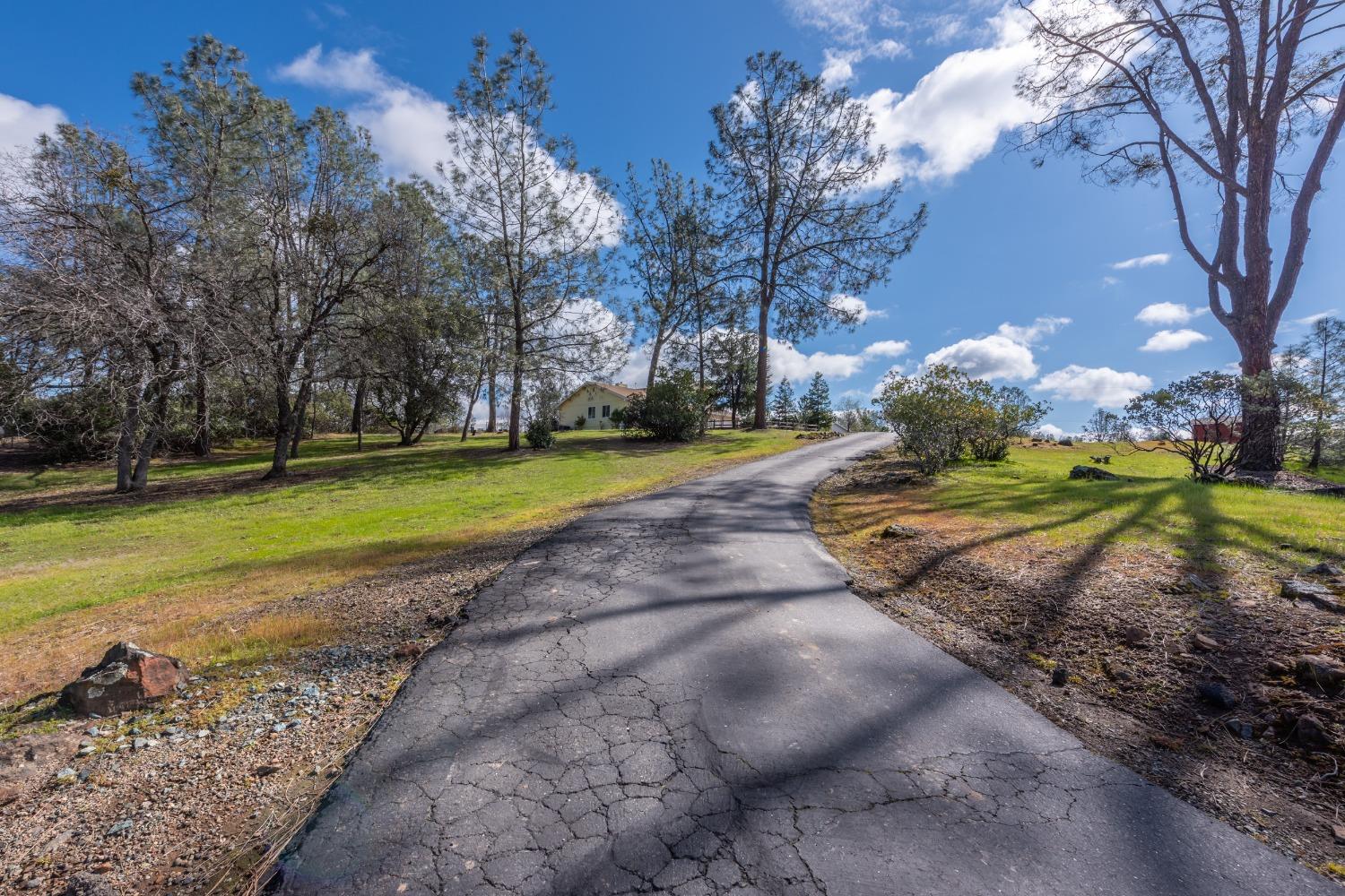 2915 Josie Lane