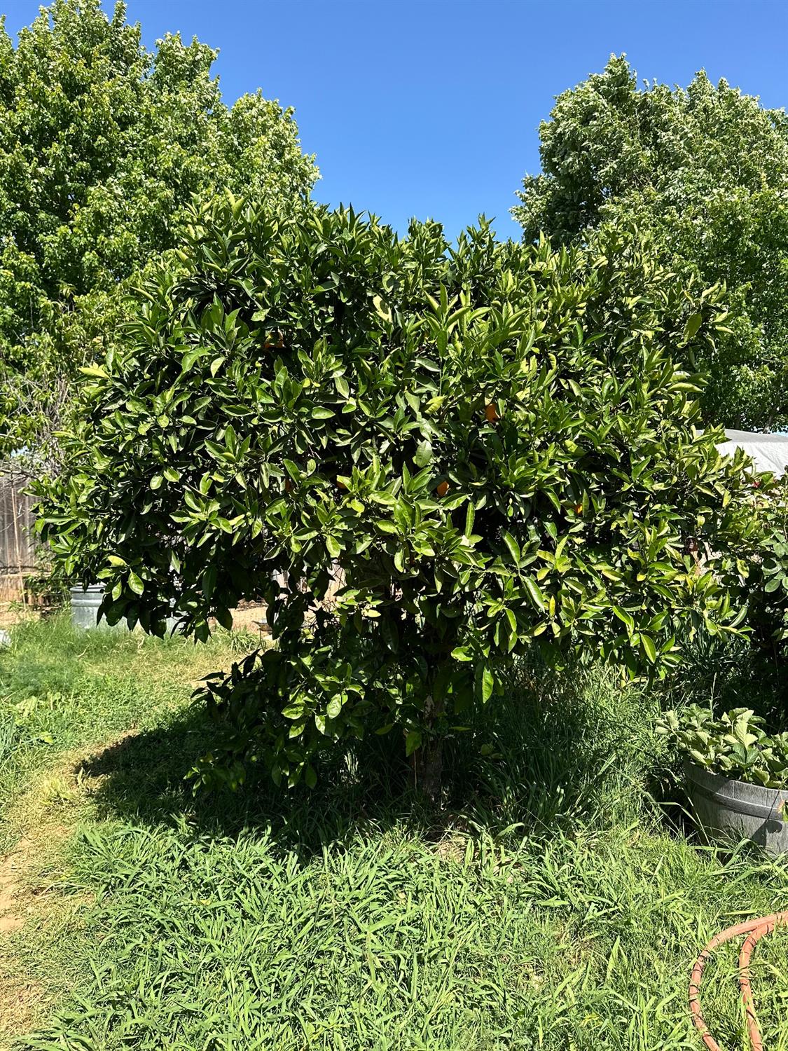 3129 Chettenham Drive