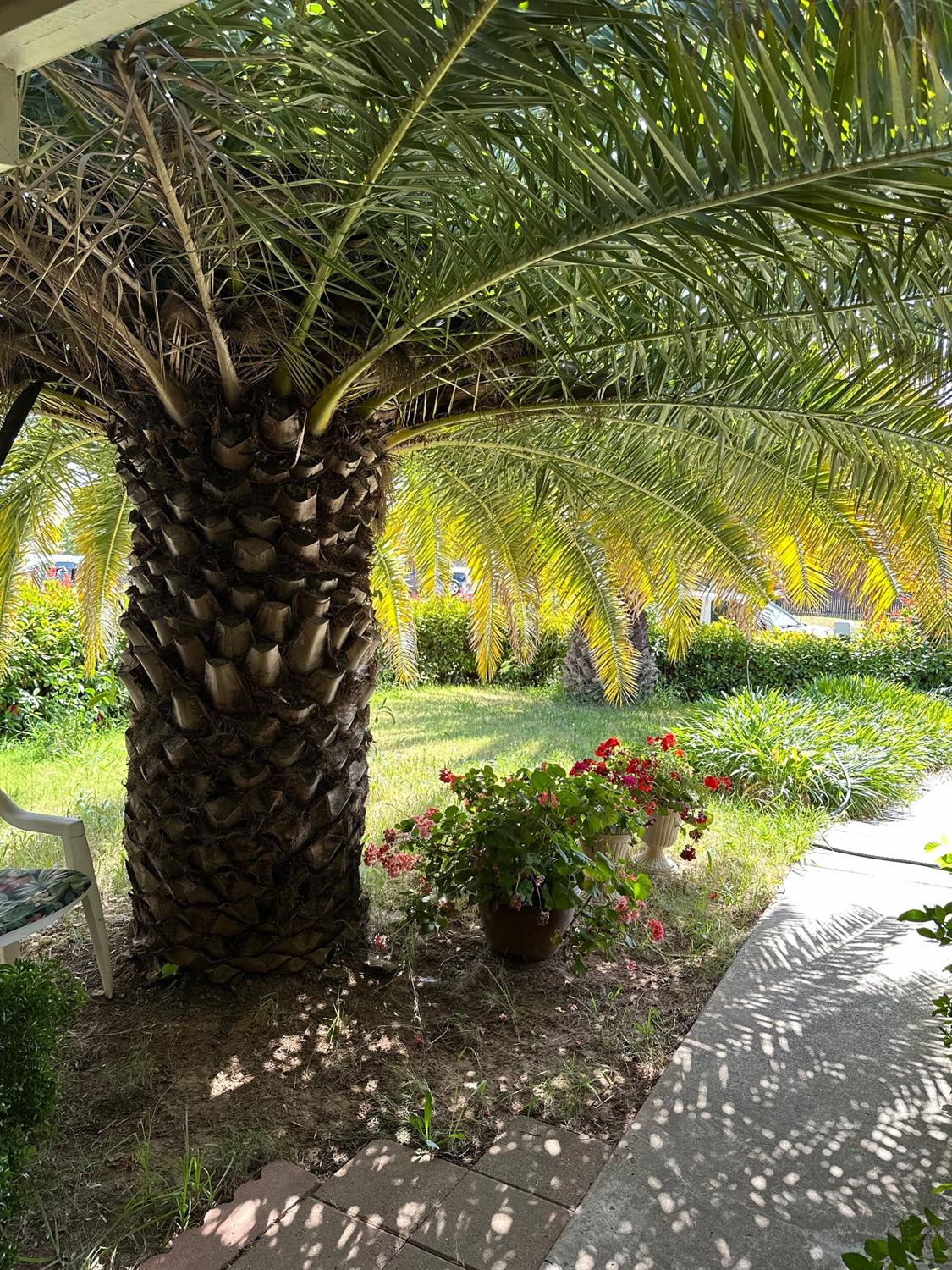 3129 Chettenham Drive