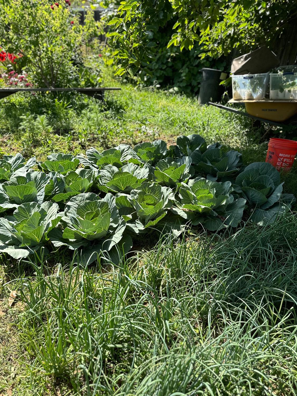 3129 Chettenham Drive