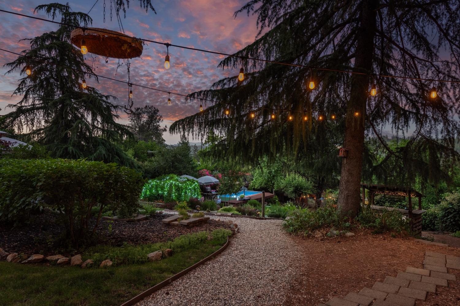 2245 State Highway 49