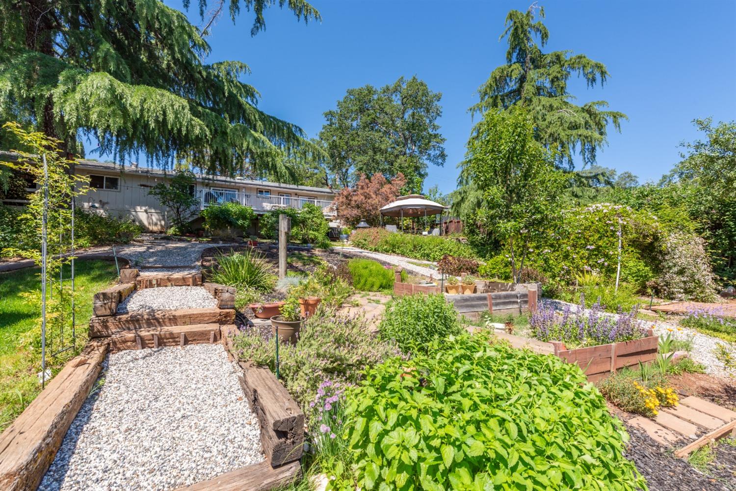 2245 State Highway 49