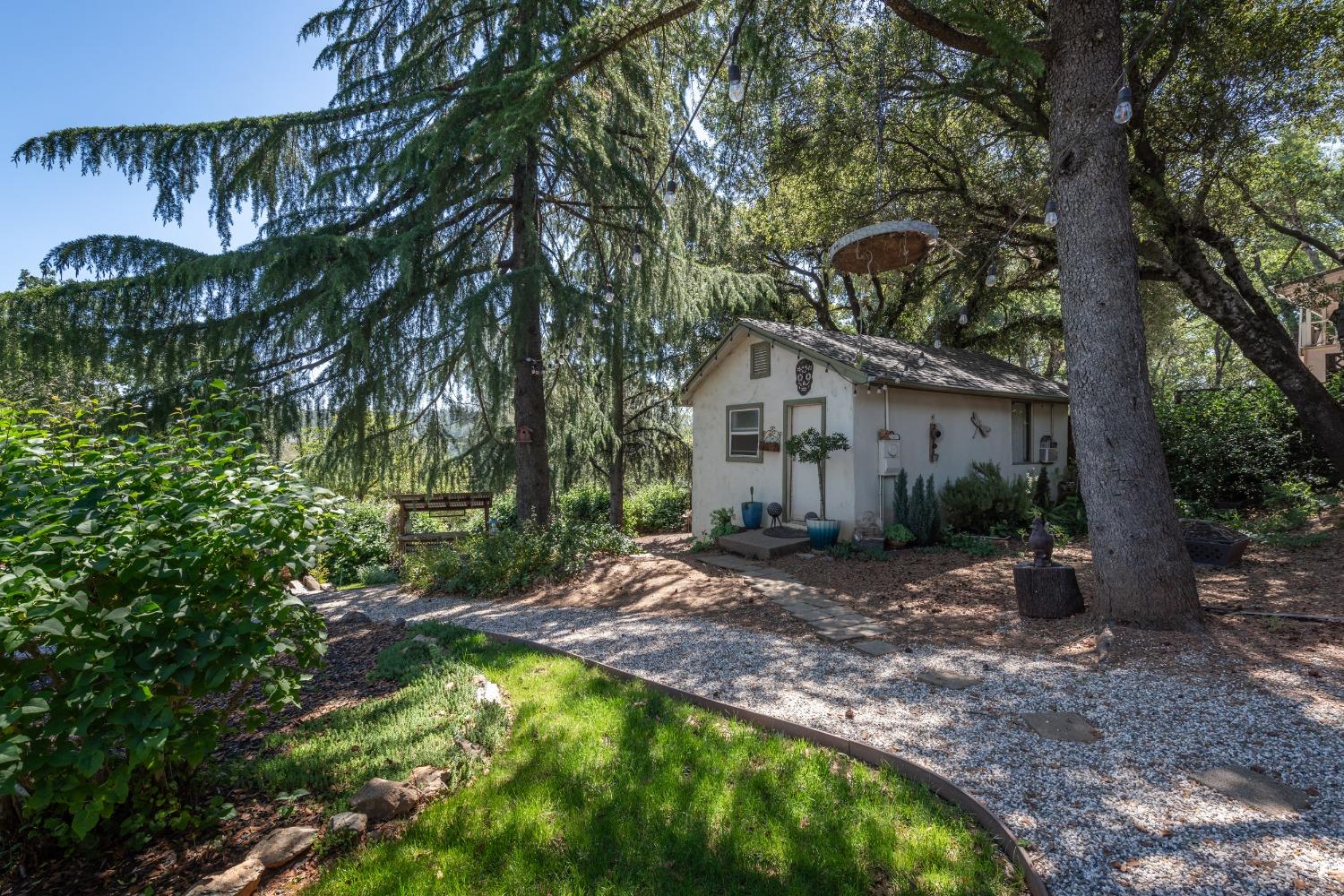 2245 State Highway 49