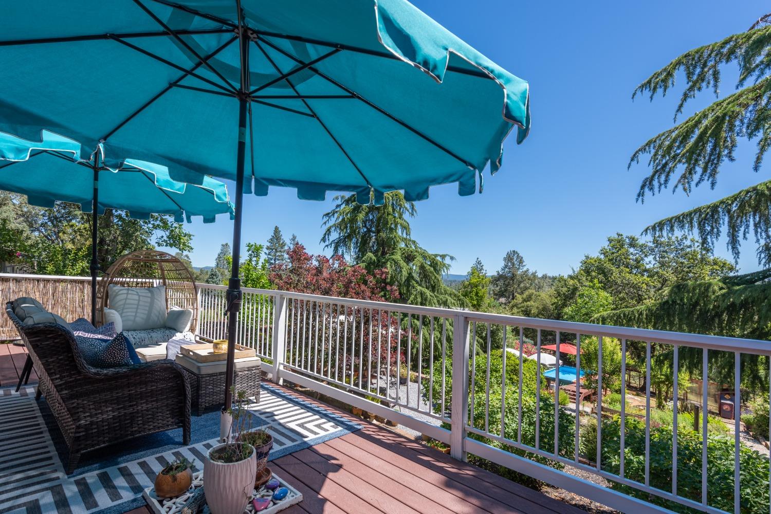 2245 State Highway 49