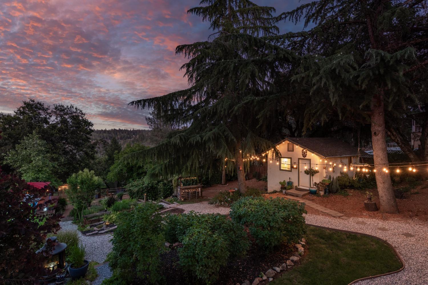 2245 State Highway 49