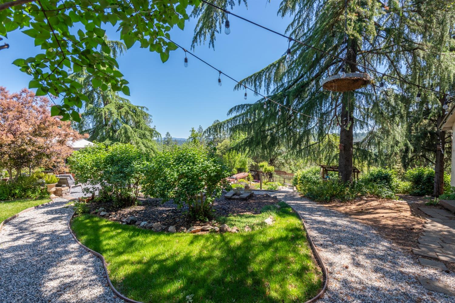 2245 State Highway 49