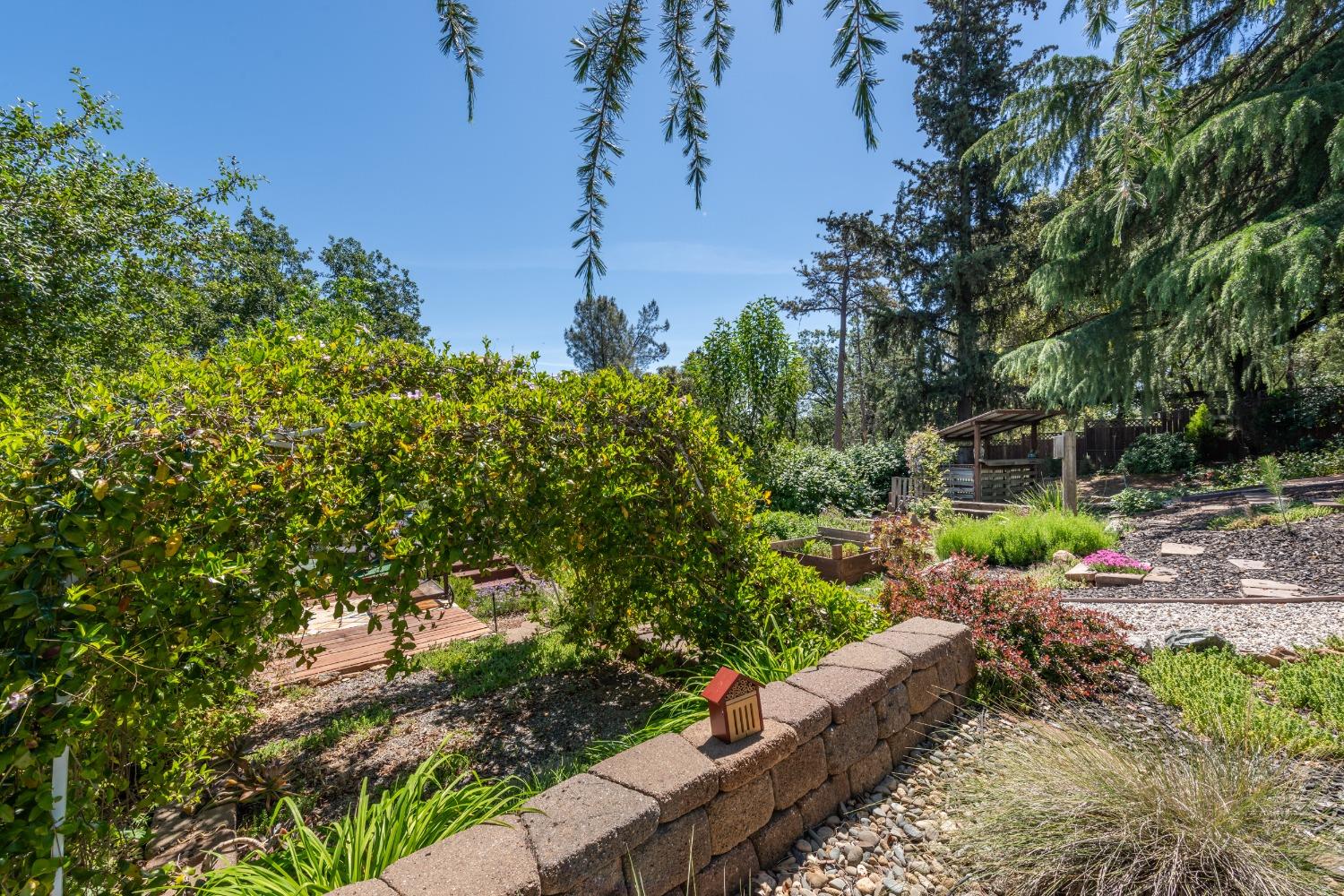 2245 State Highway 49