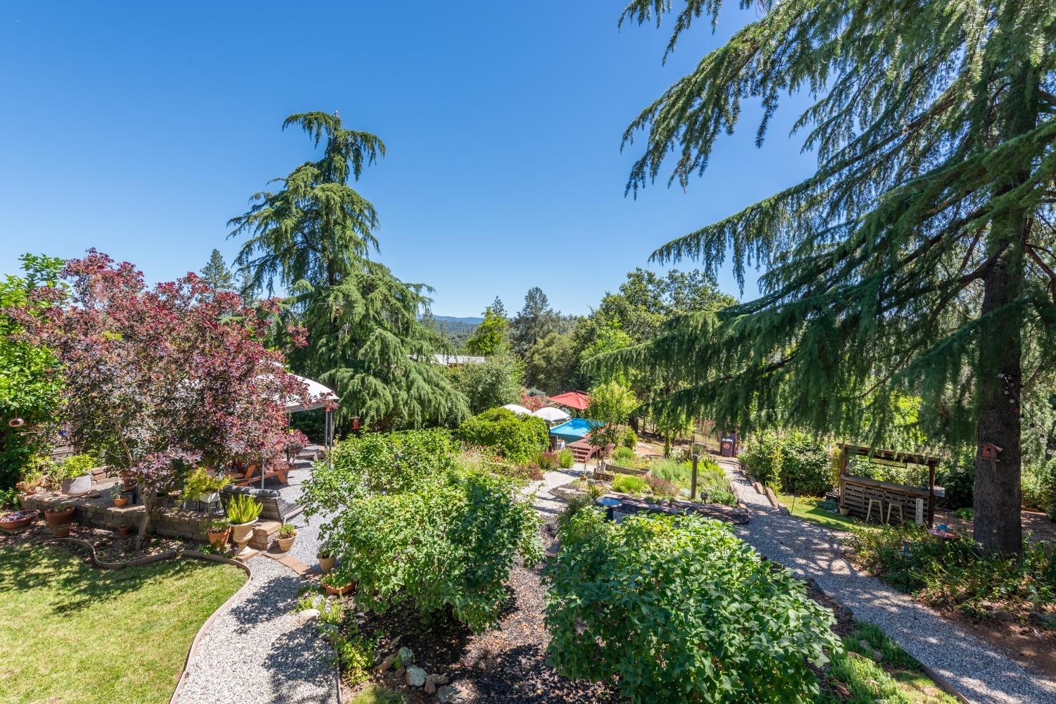 2245 State Highway 49