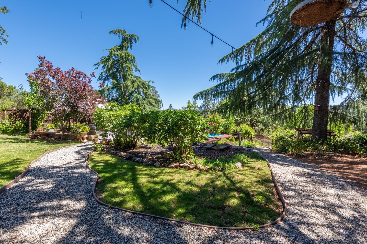 2245 State Highway 49