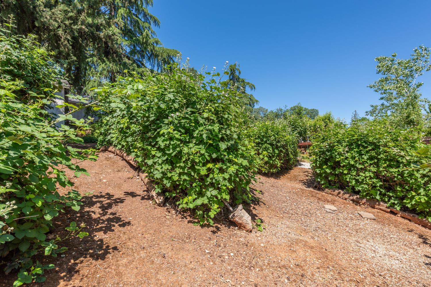 2245 State Highway 49