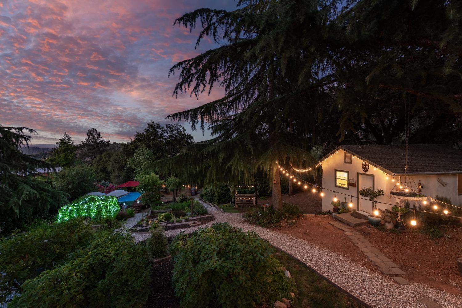 2245 State Highway 49