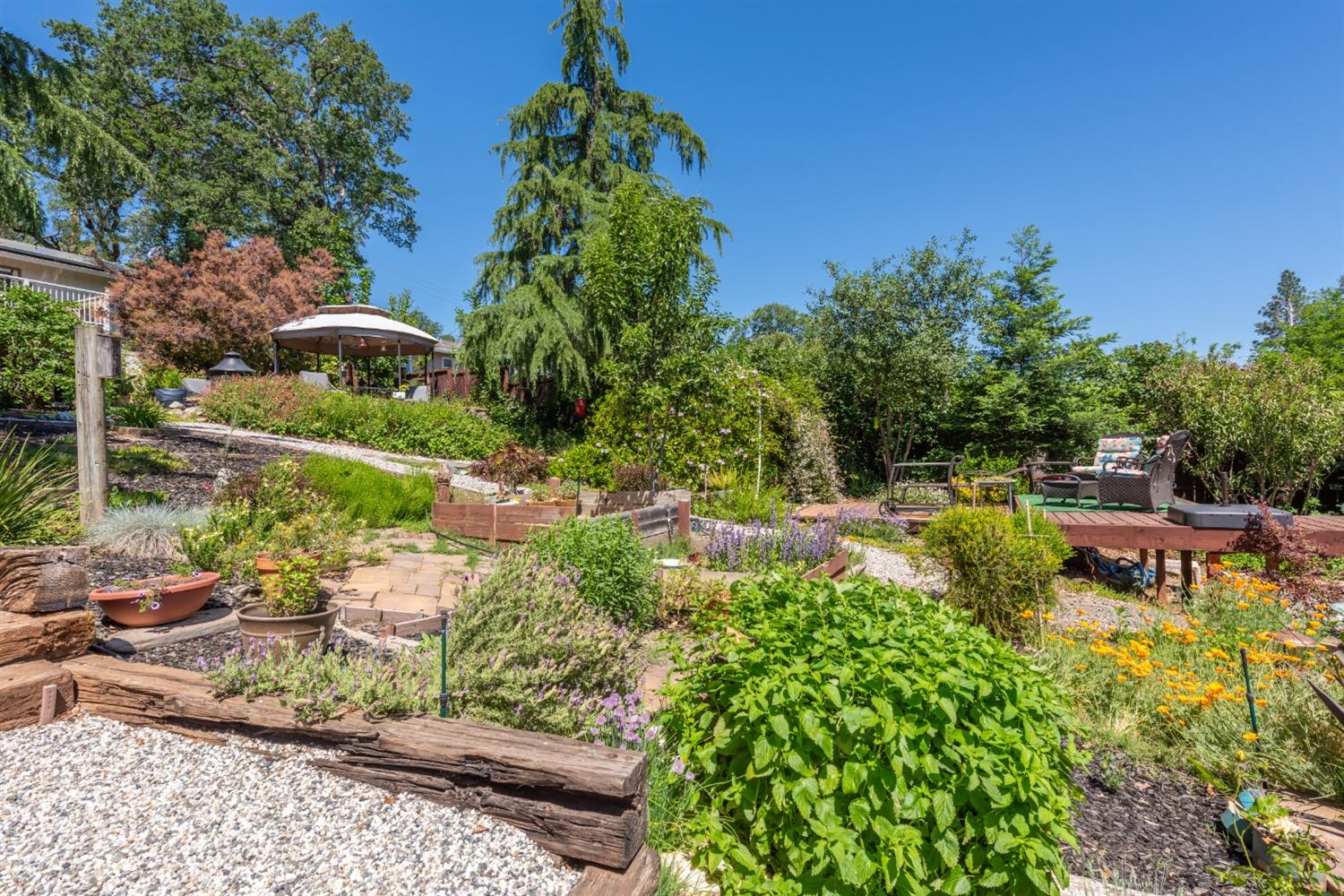 2245 State Highway 49