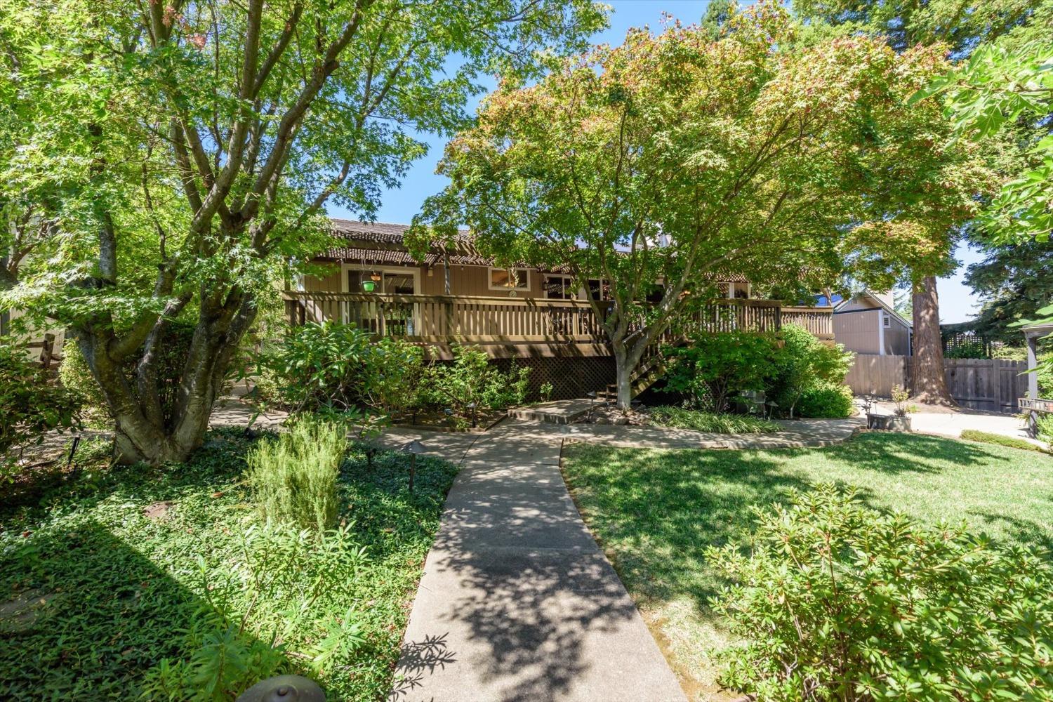 3341 Colina Court
