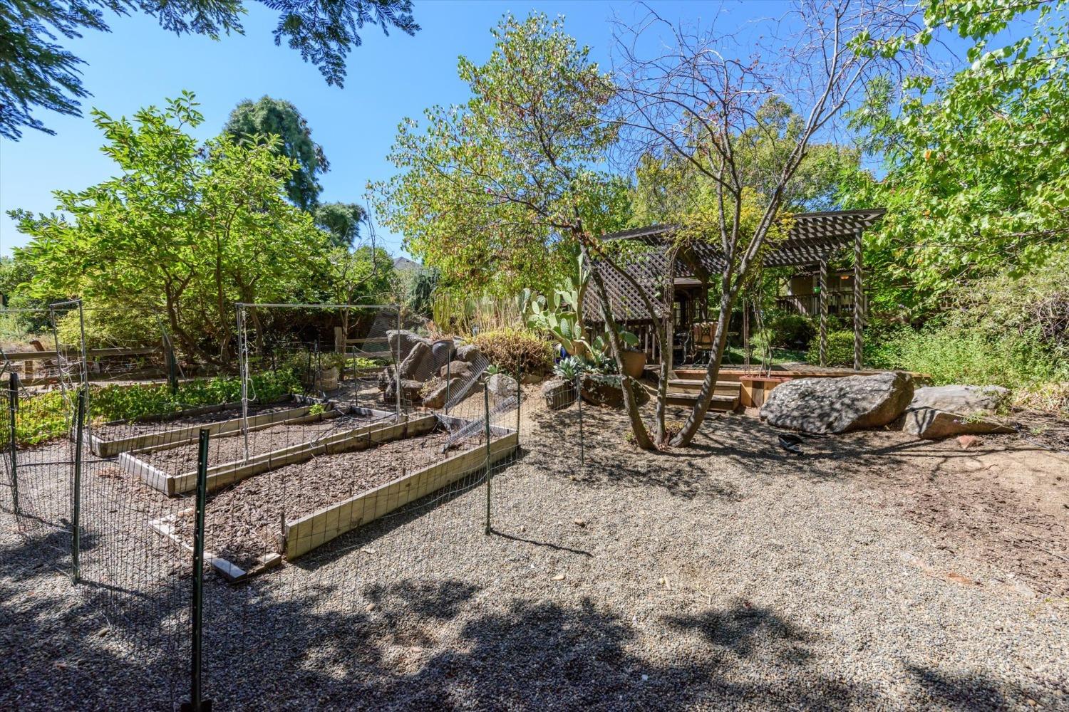 3341 Colina Court