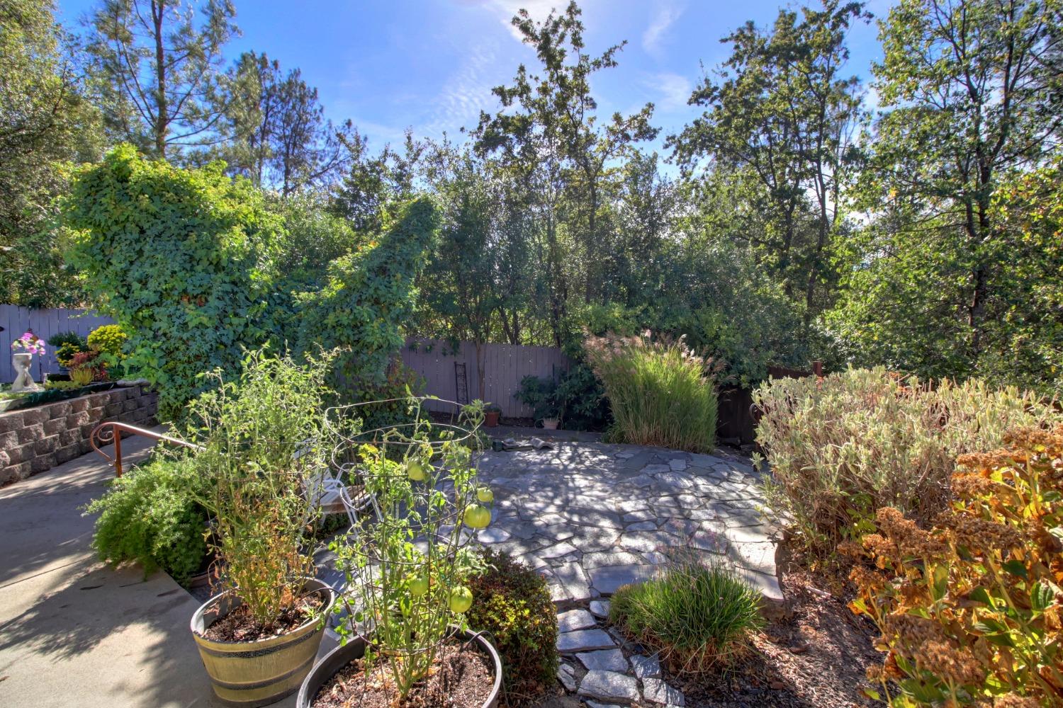 1062 Diamante Robles Court