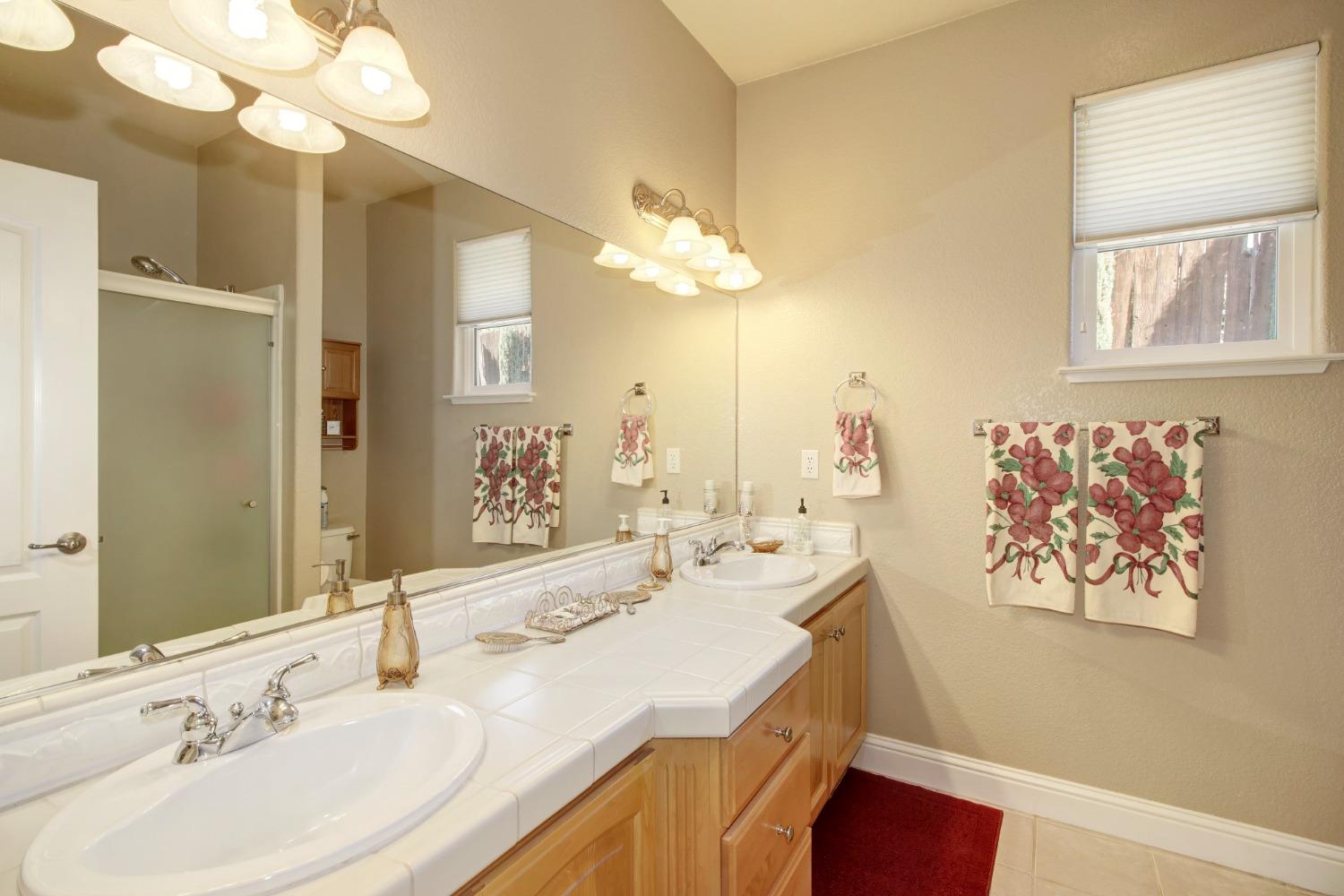 1062 Diamante Robles Court