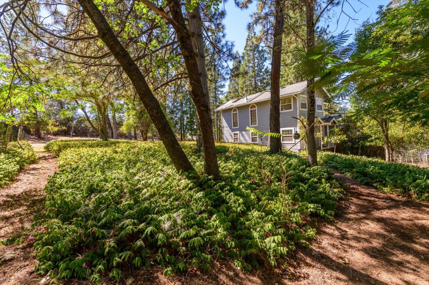 4480 Chaparral Drive