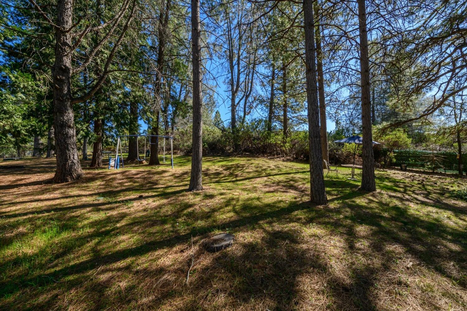 4480 Chaparral Drive