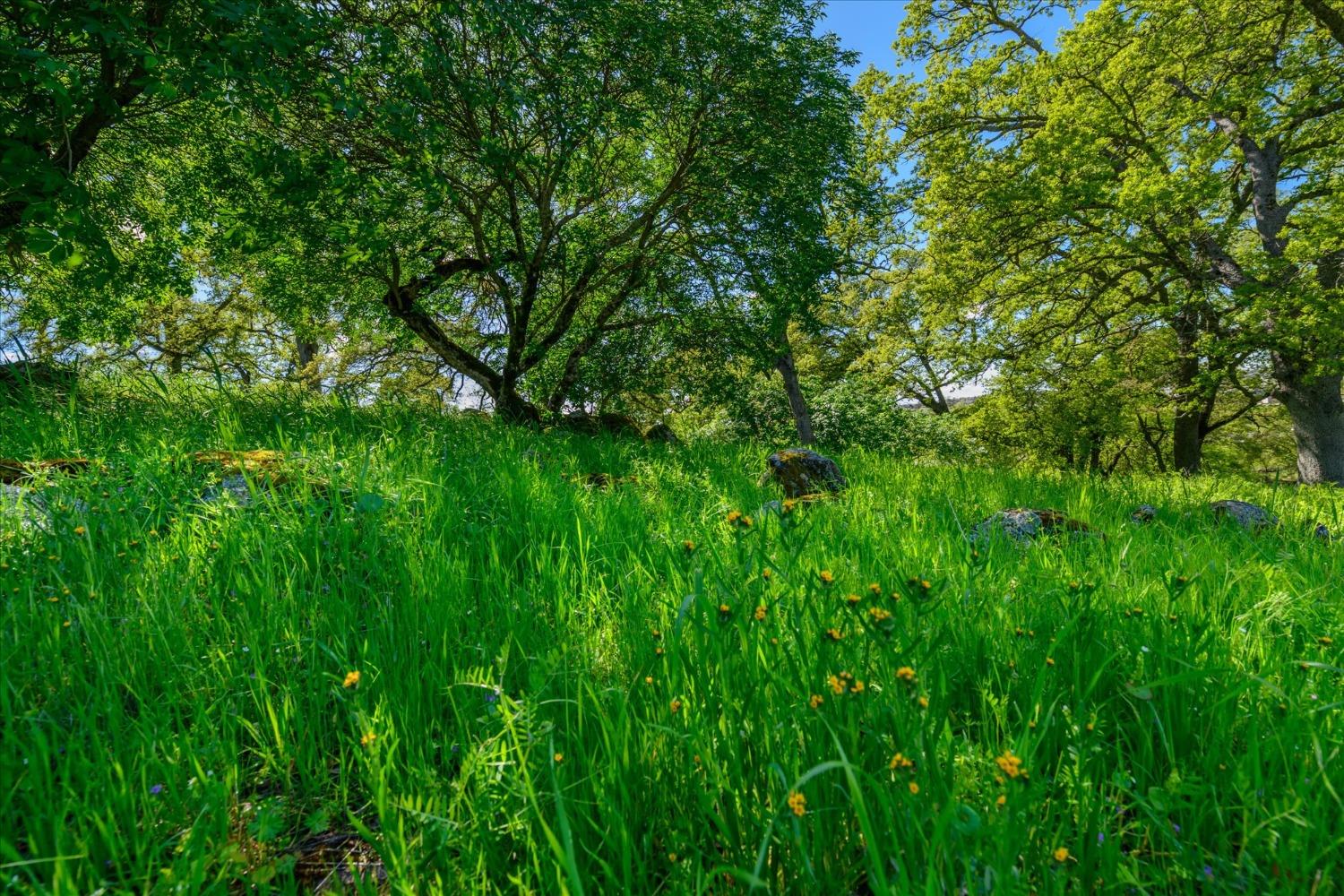 3501 Sienna Ridge Road