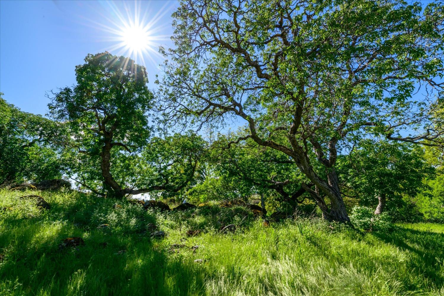 3501 Sienna Ridge Road