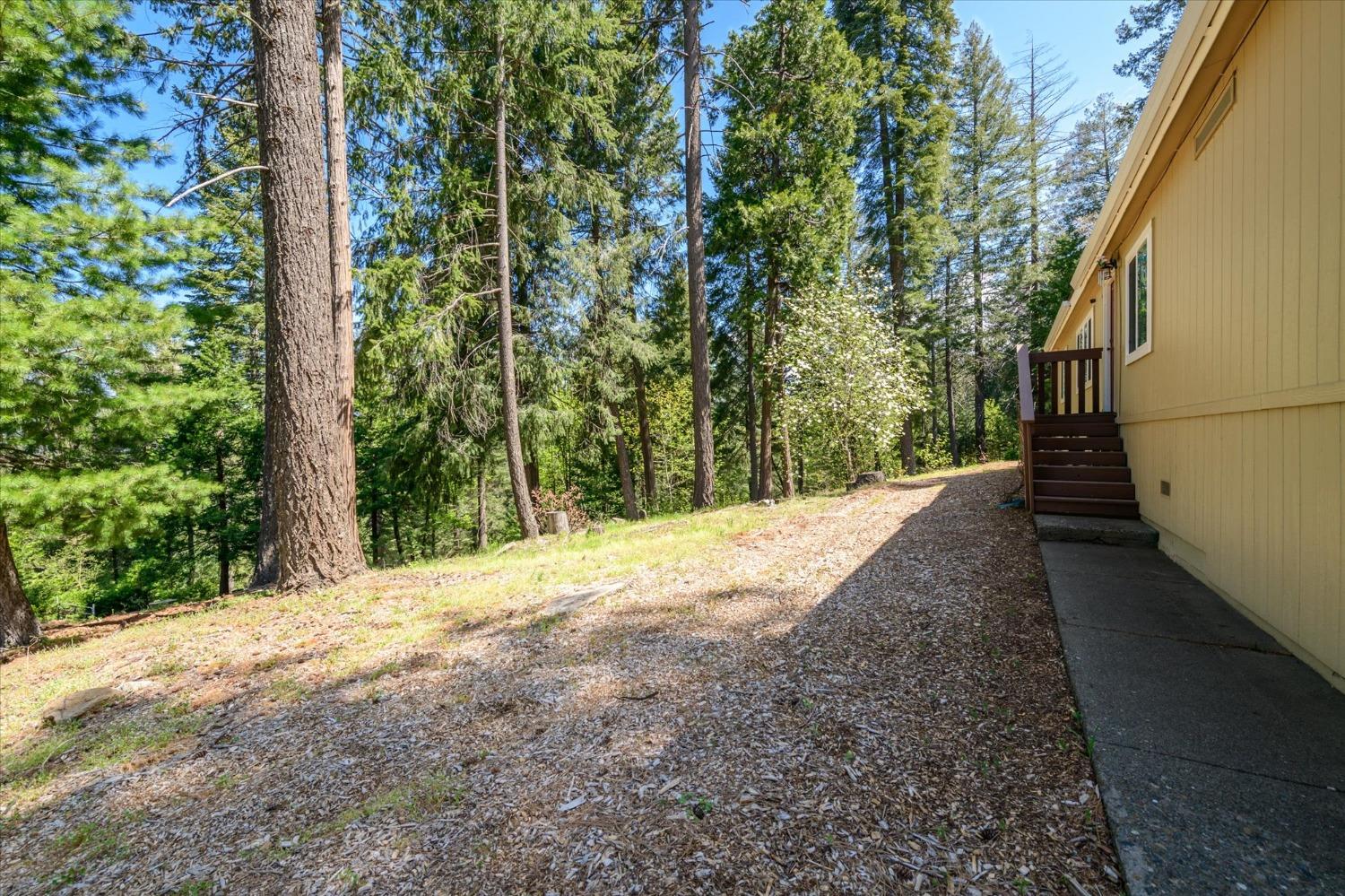 7000 Pony Express Trail