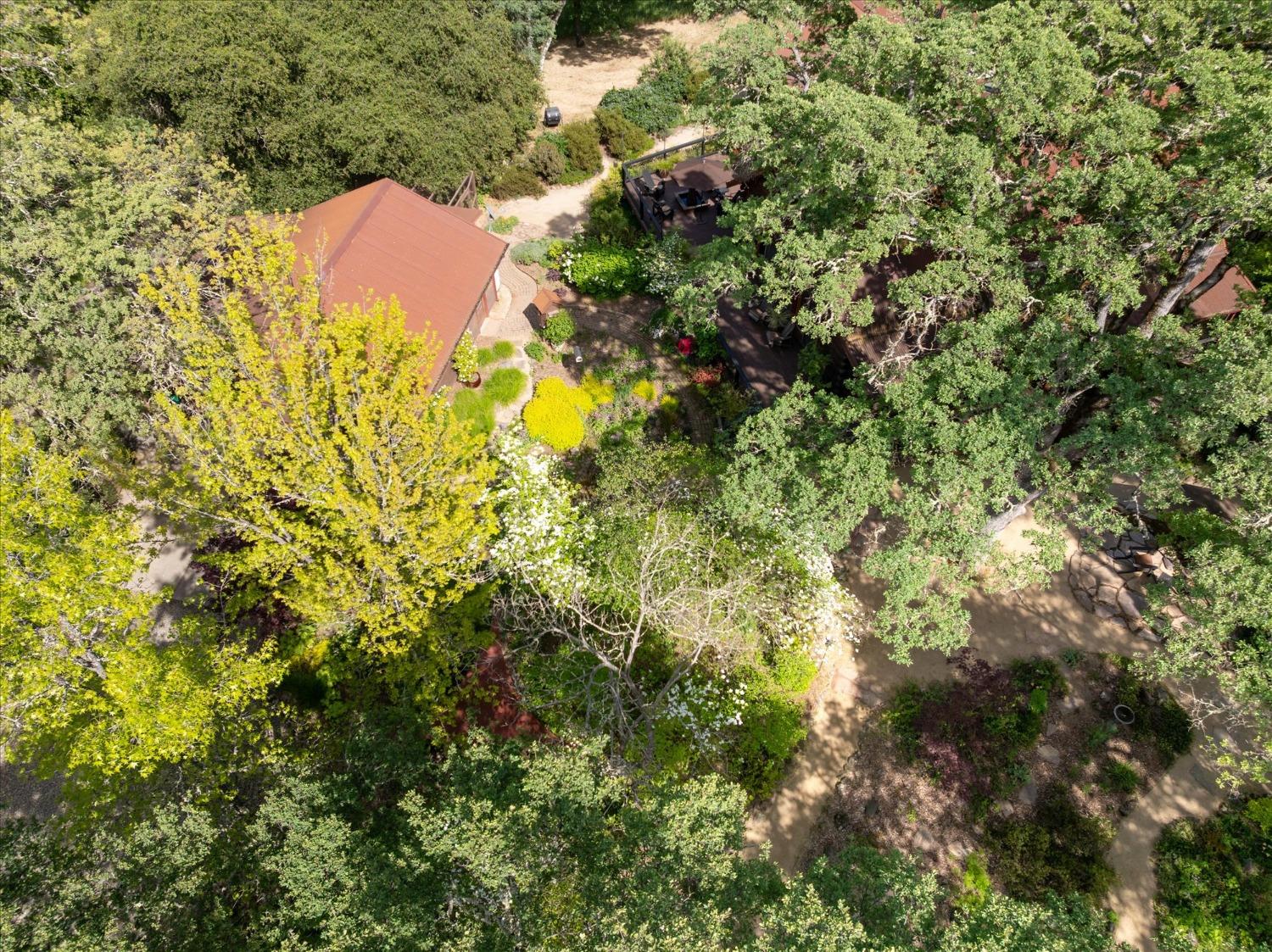 1267 Old Rock Bridge Road