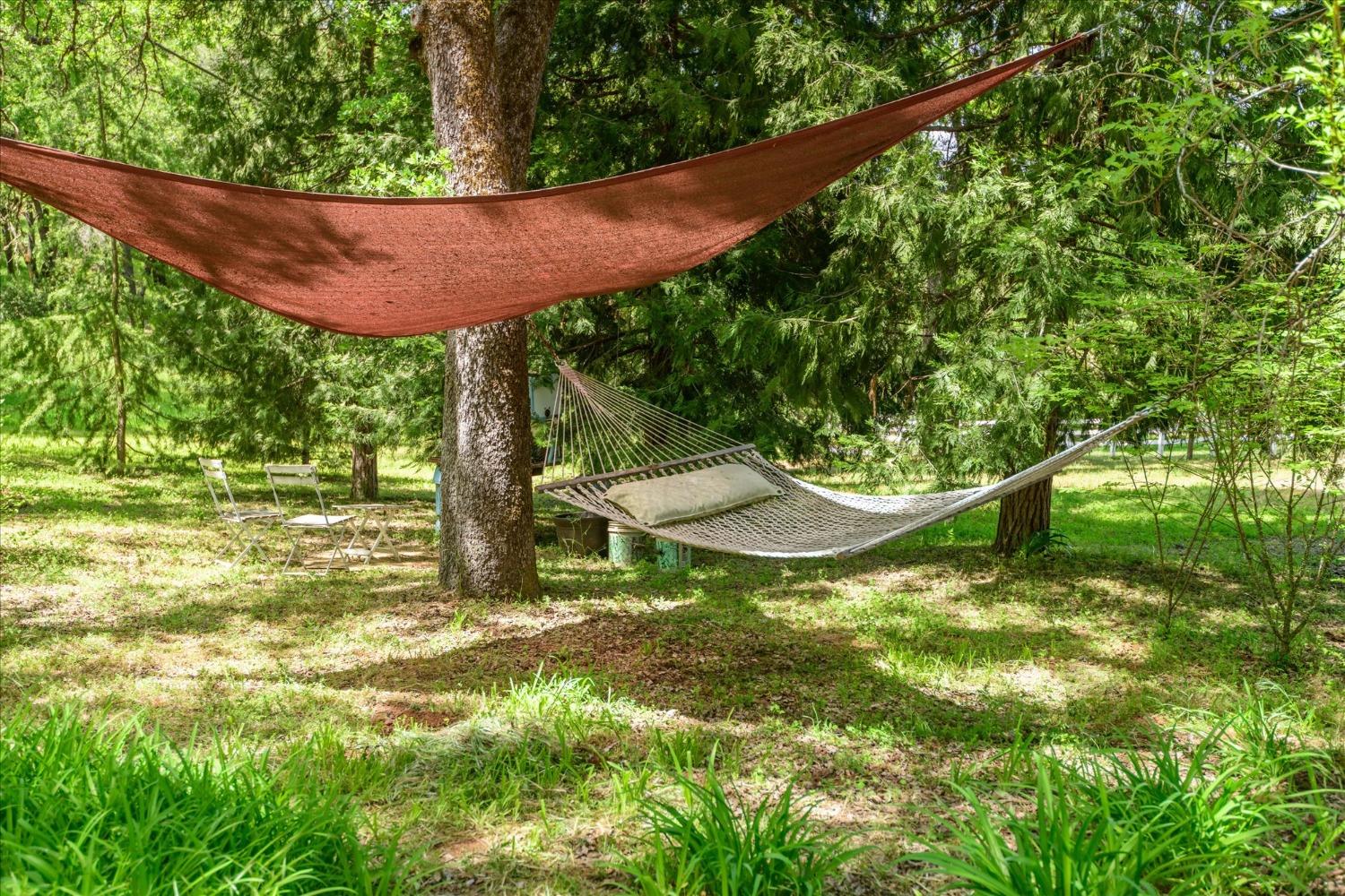 1267 Old Rock Bridge Road