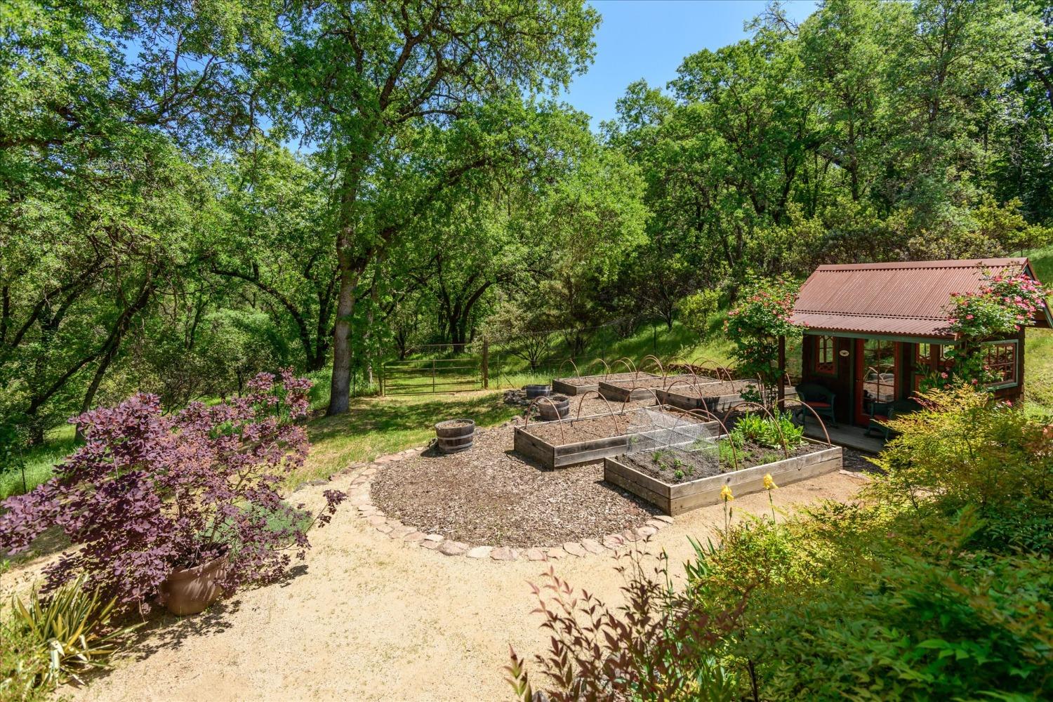 1267 Old Rock Bridge Road