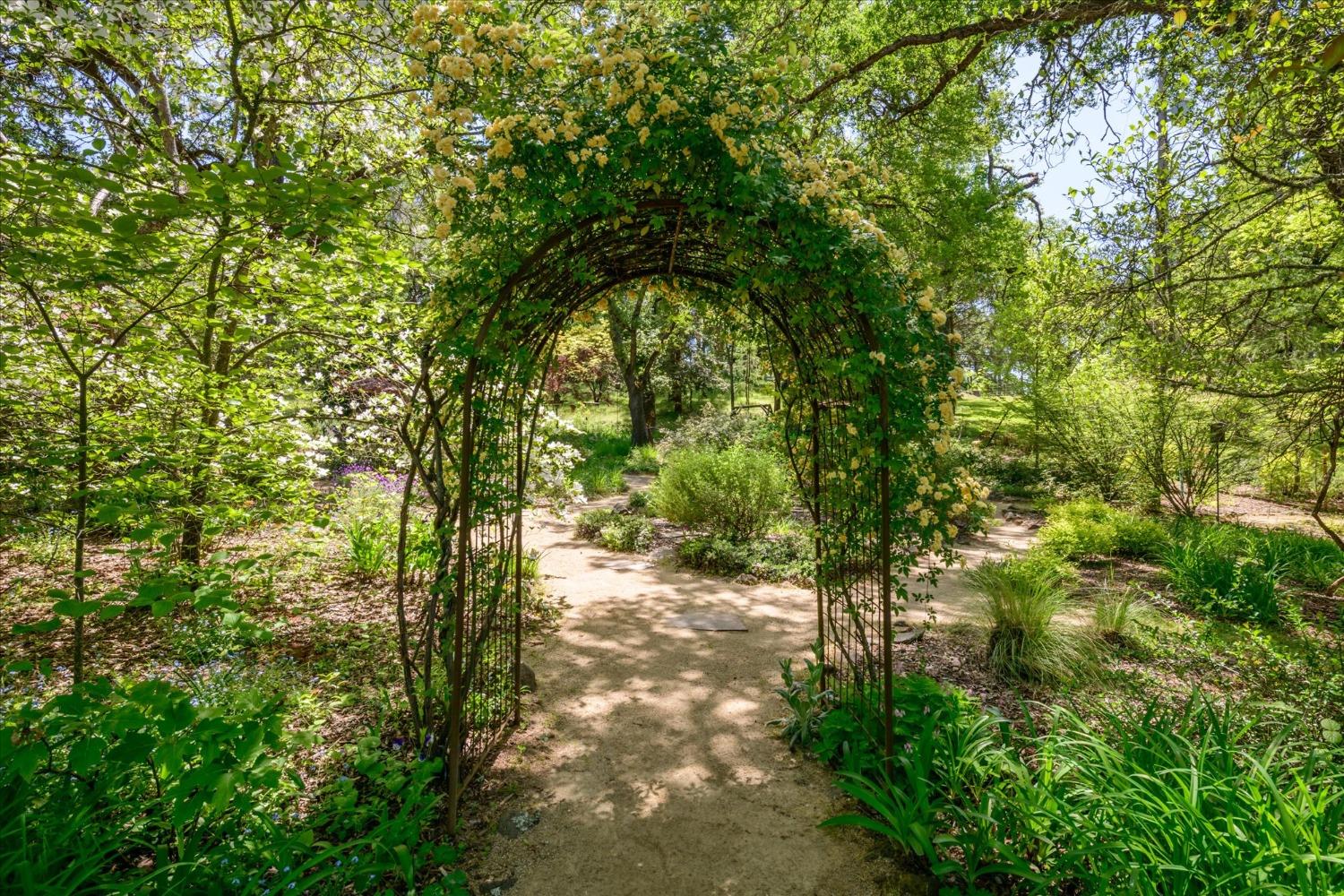 1267 Old Rock Bridge Road