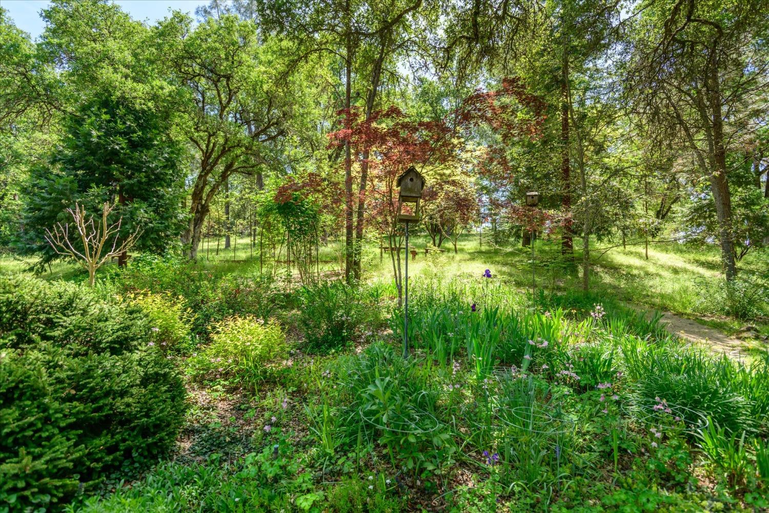 1267 Old Rock Bridge Road