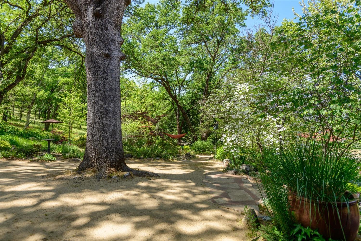 1267 Old Rock Bridge Road