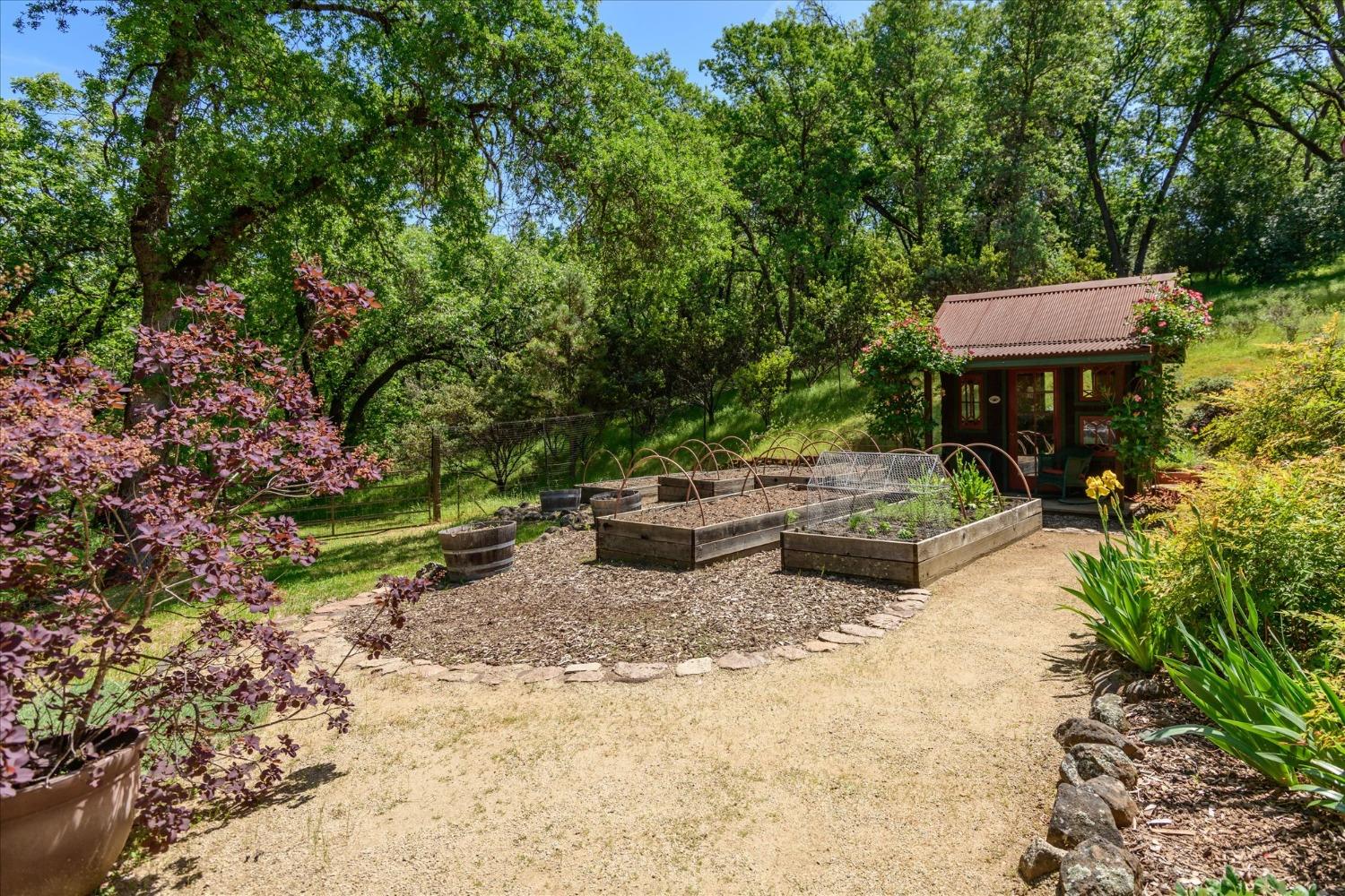 1267 Old Rock Bridge Road