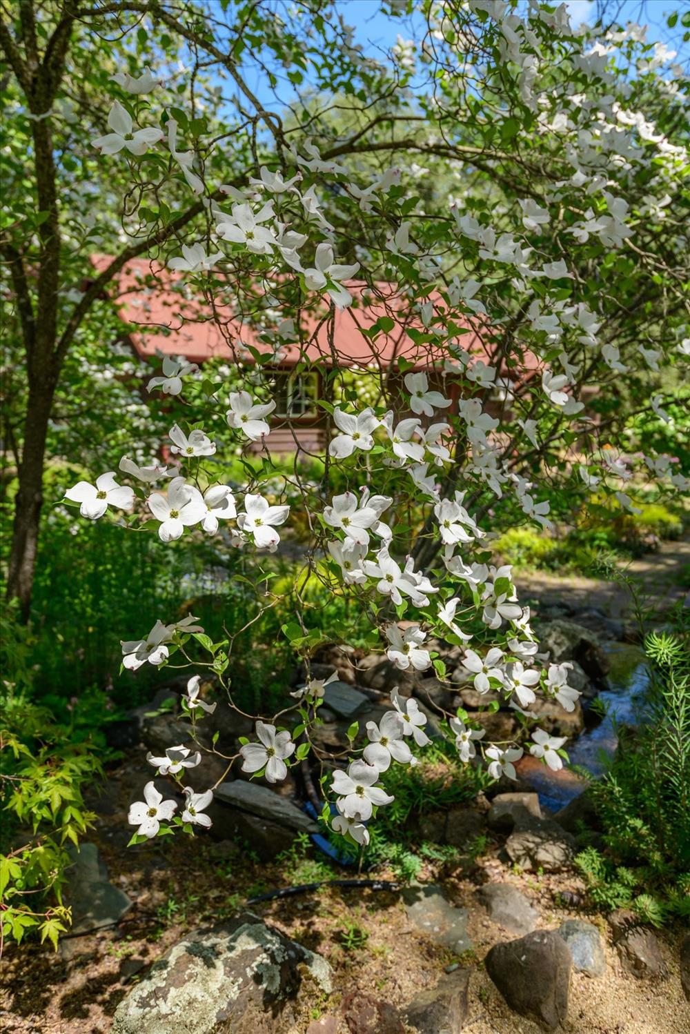 1267 Old Rock Bridge Road