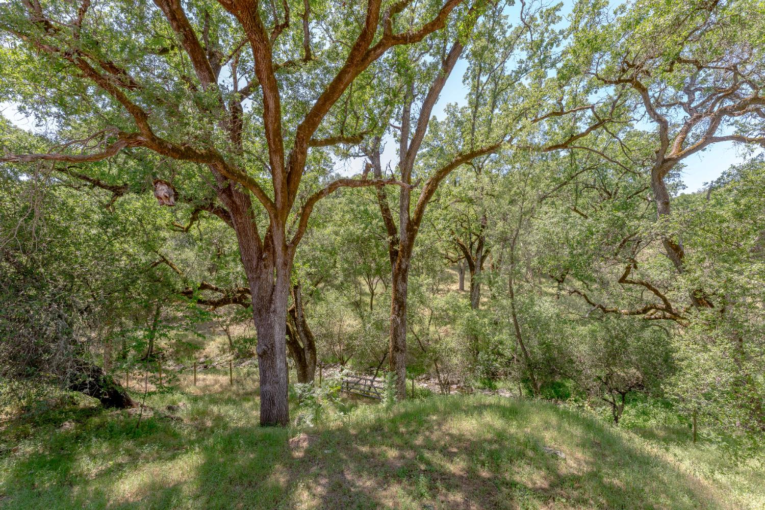 5360 Grassy Run Road