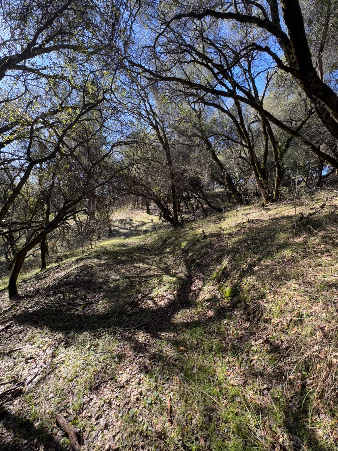6271 Arch Lane