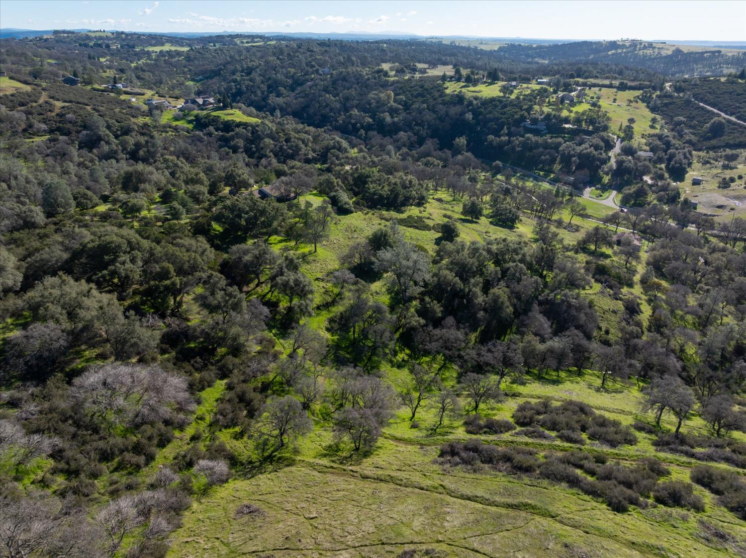 3831 Cothrin Ranch Road