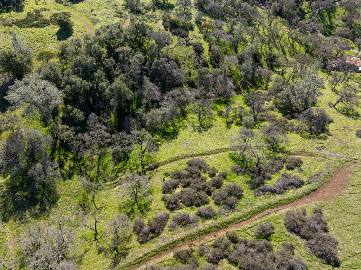 3831 Cothrin Ranch Road