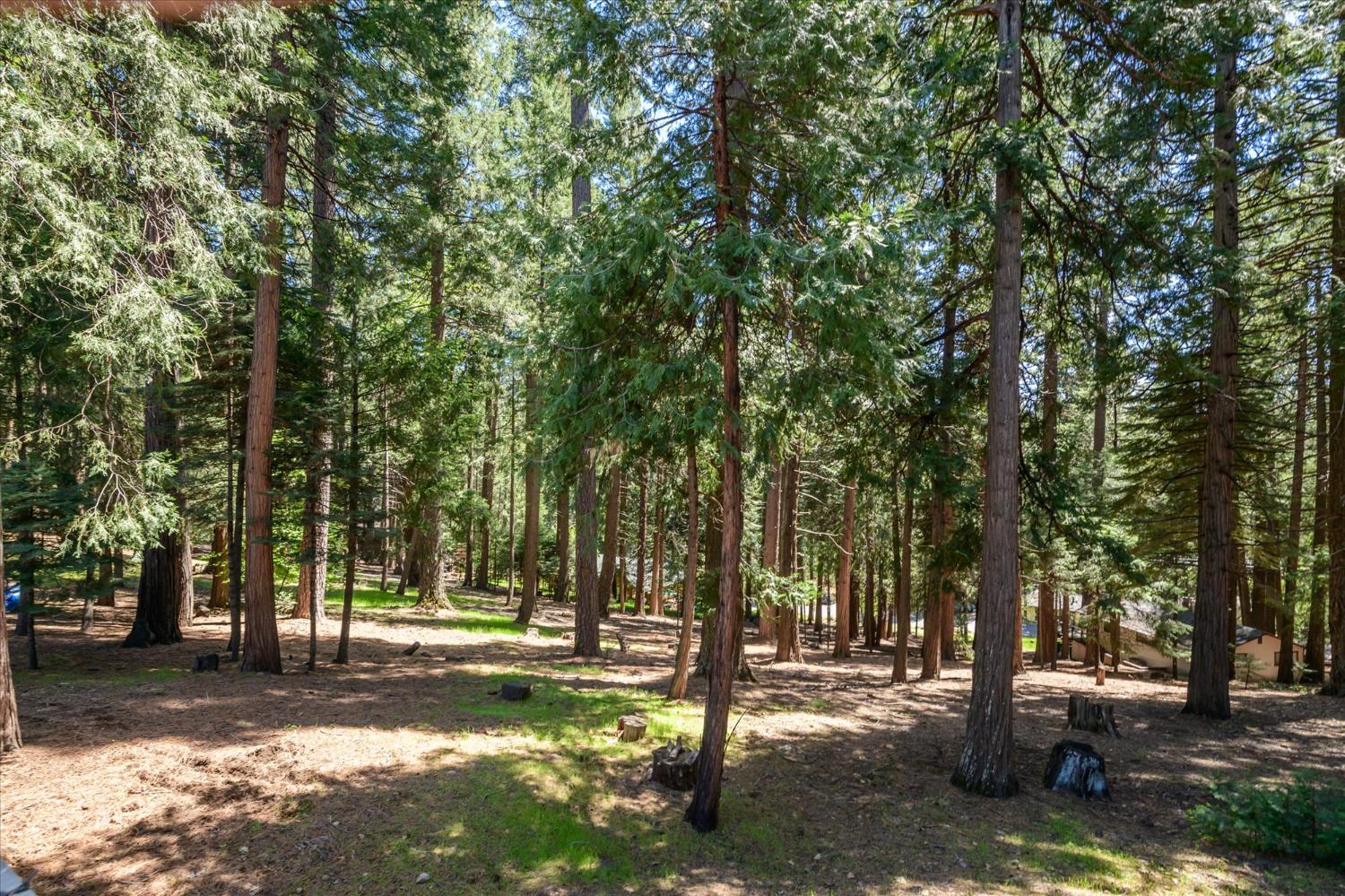 6480 Granite Trail