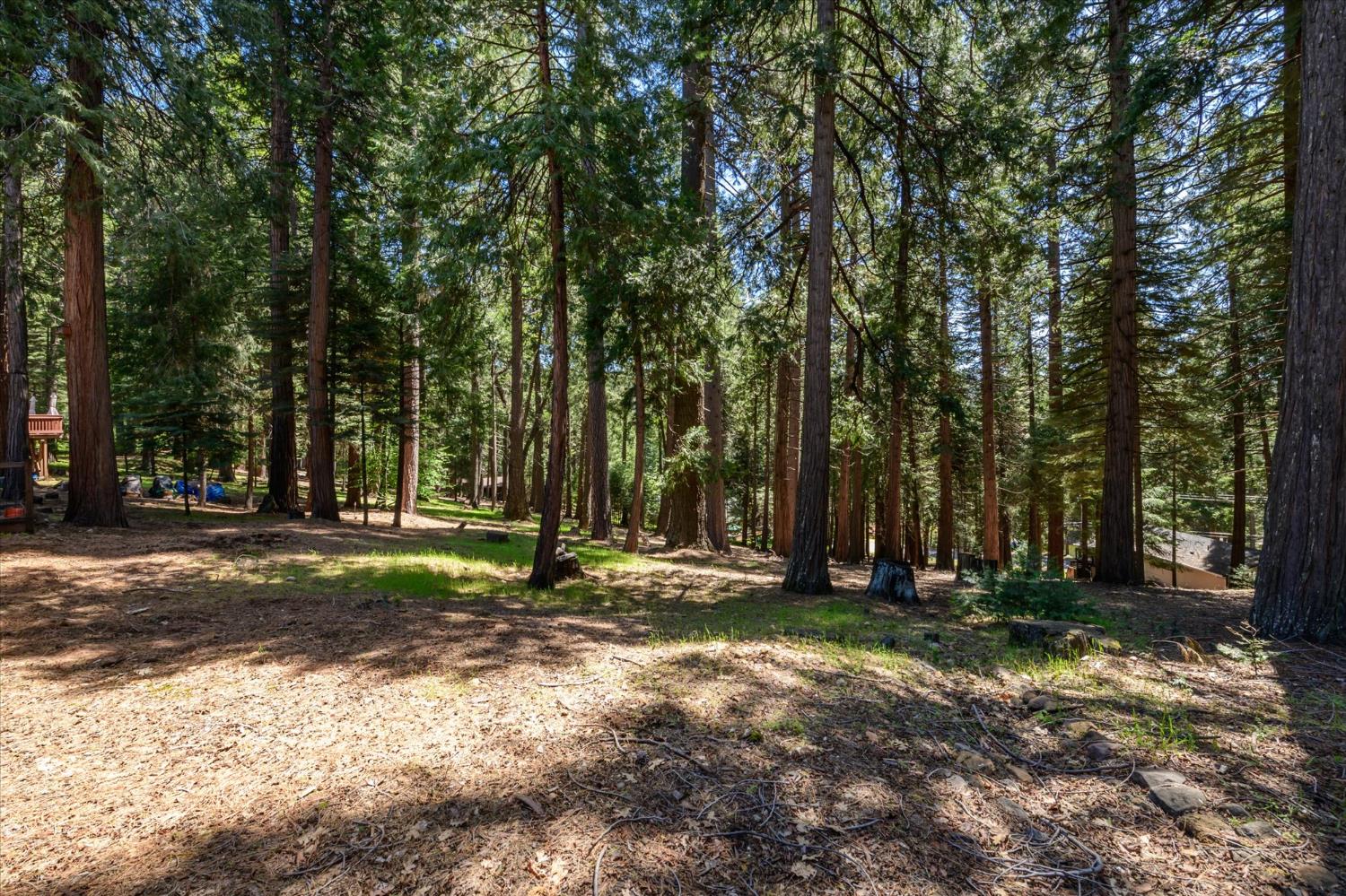 6480 Granite Trail