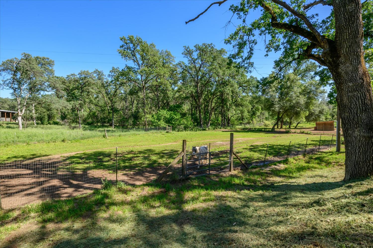 4781 Oriental Street