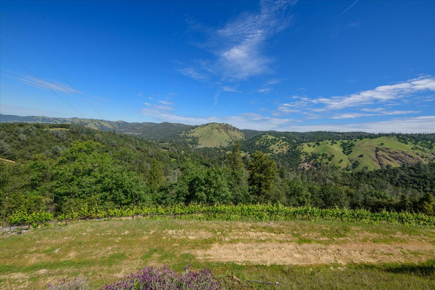 630 State Highway 49