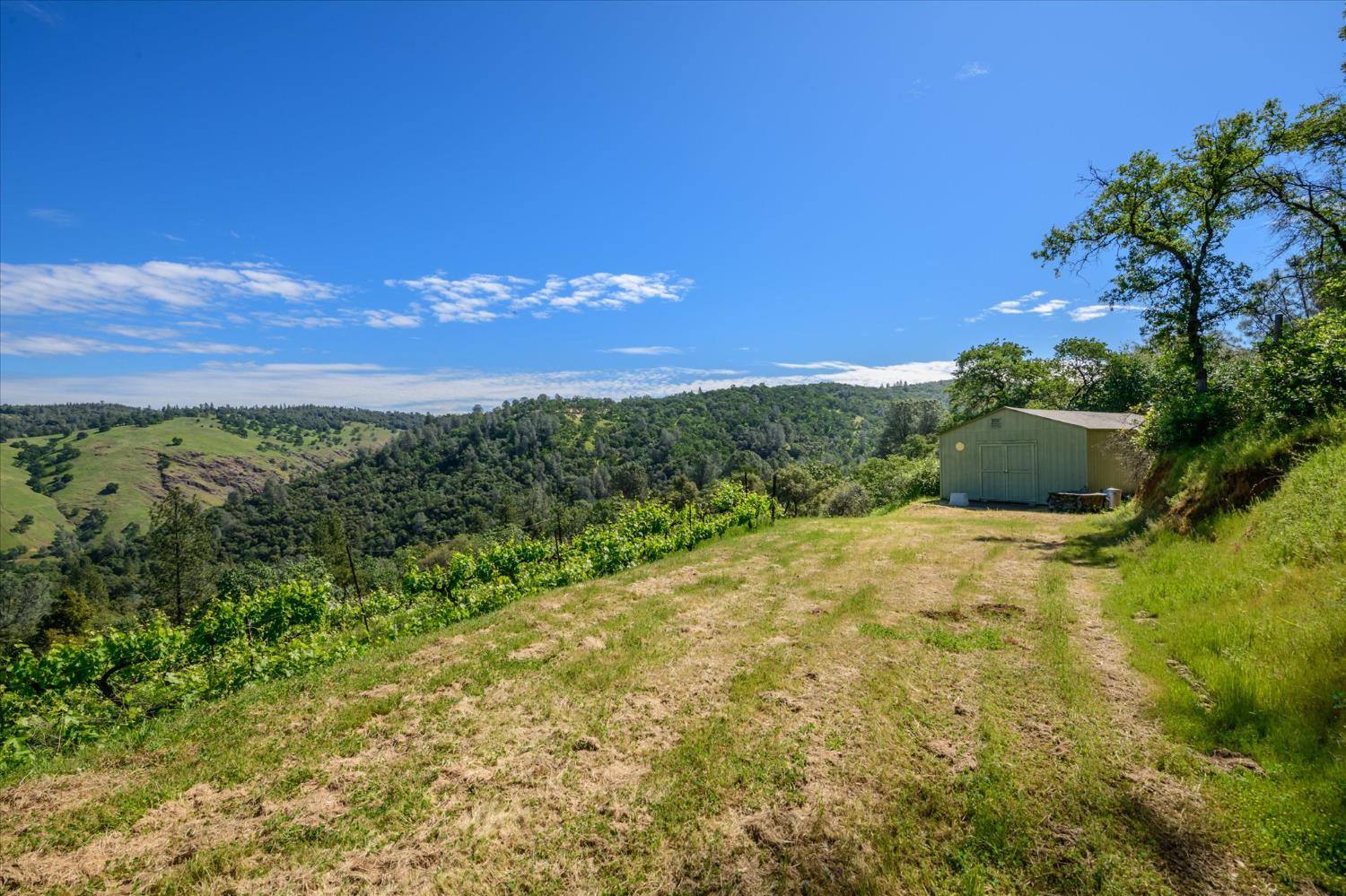 630 State Highway 49
