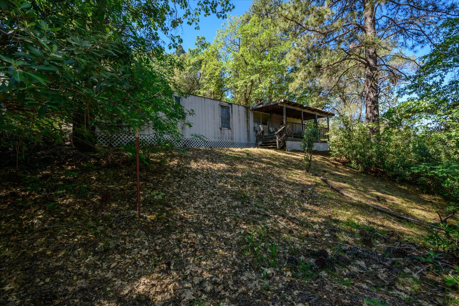 630 State Highway 49