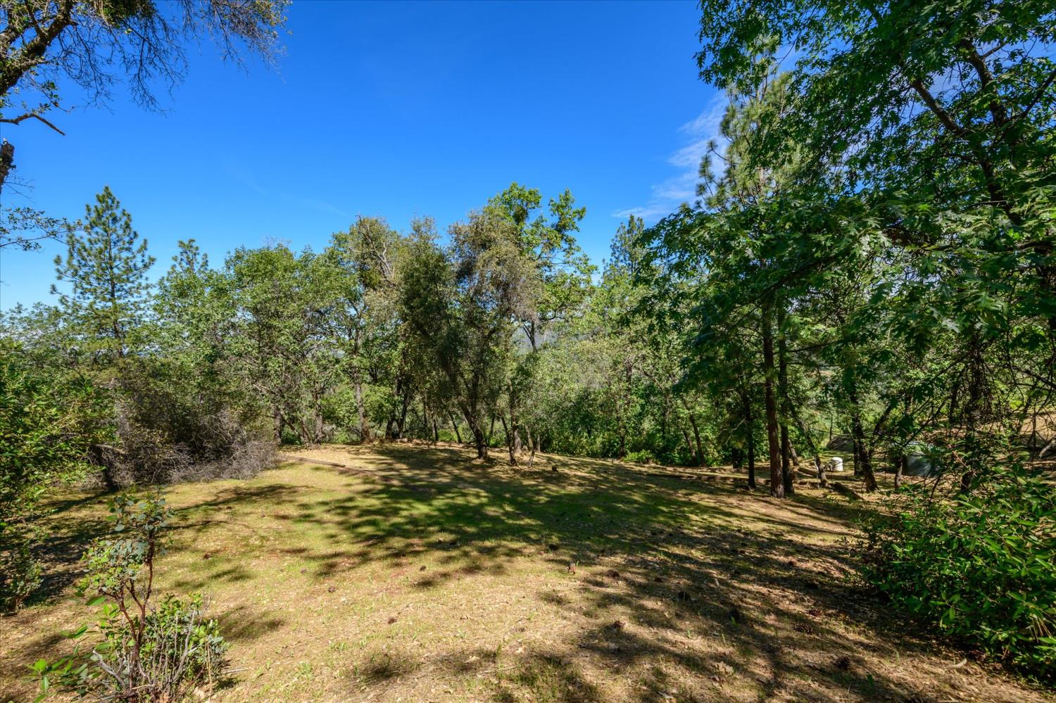630 State Highway 49
