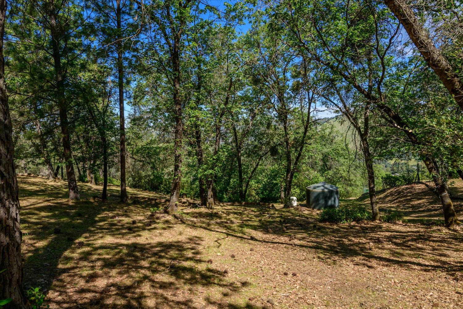 630 State Highway 49